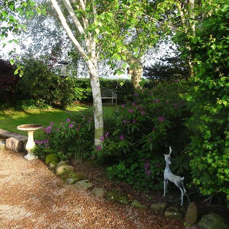 Cleriach Cottage Milton of Auchinhove Esterno foto