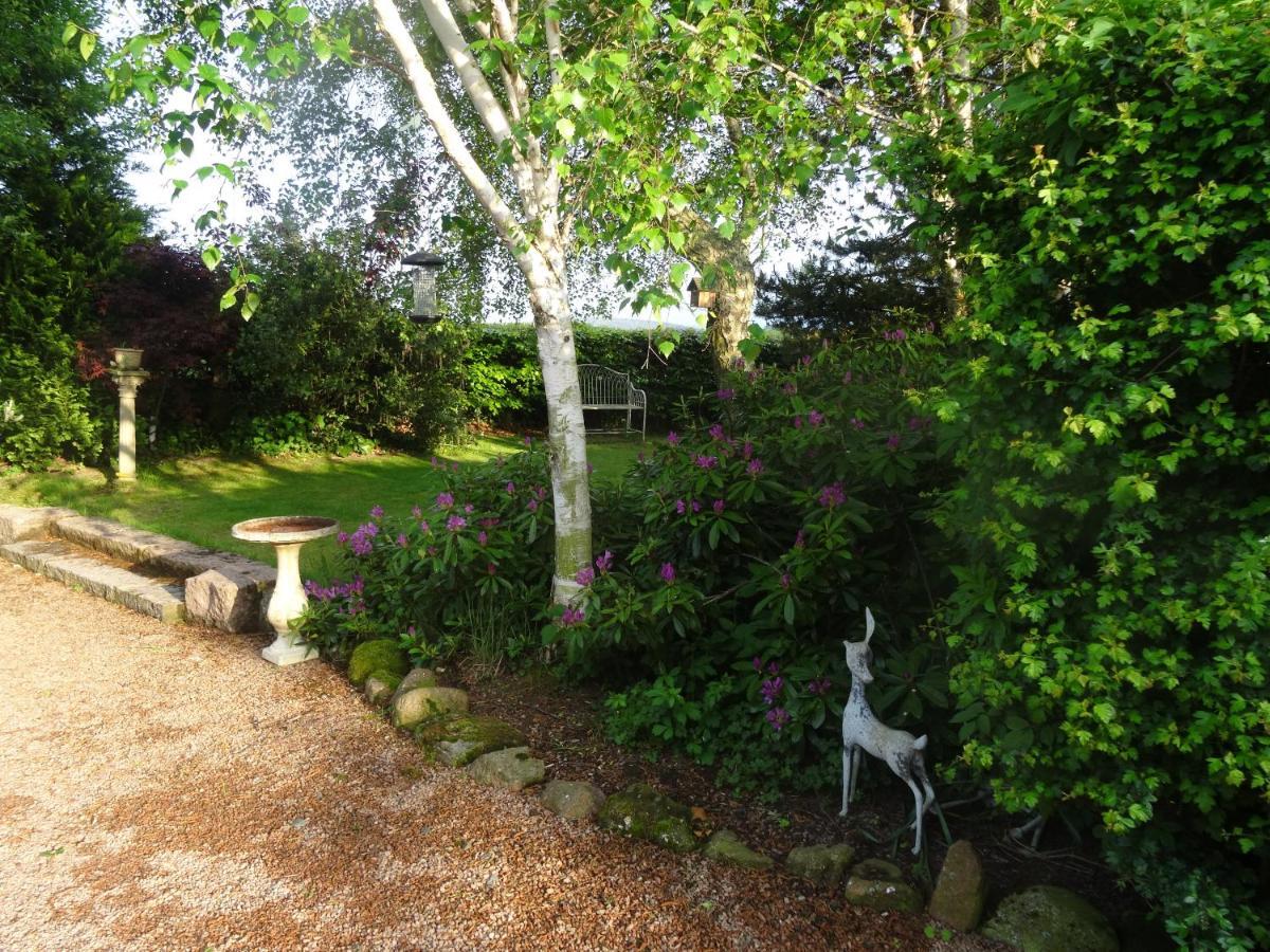Cleriach Cottage Milton of Auchinhove Esterno foto