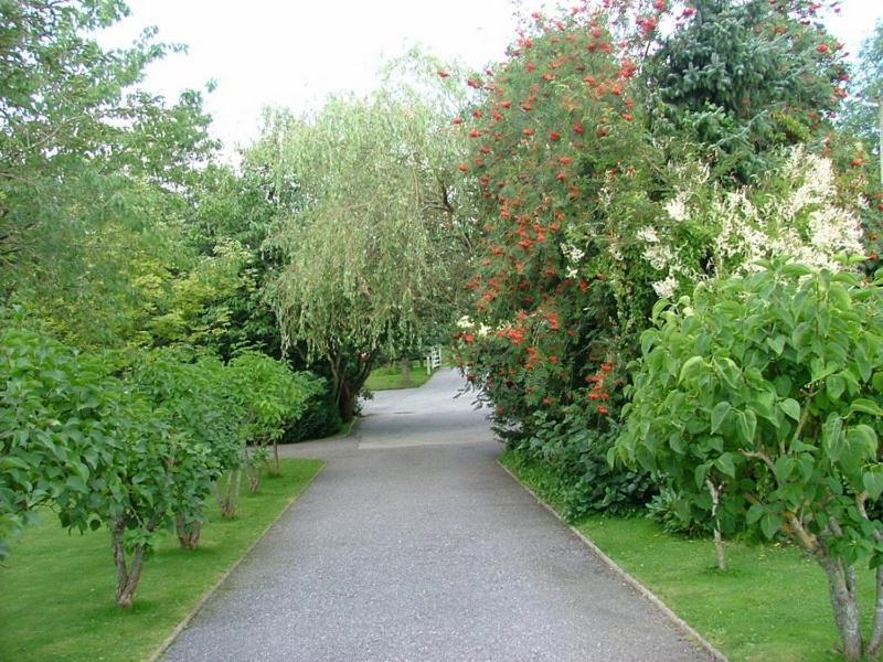 Cleriach Cottage Milton of Auchinhove Esterno foto